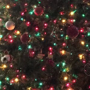 Meet your Posher, Kira